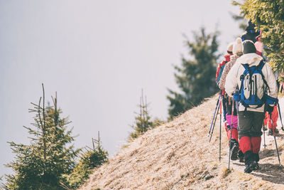 Full length of person on tree mountain against sky