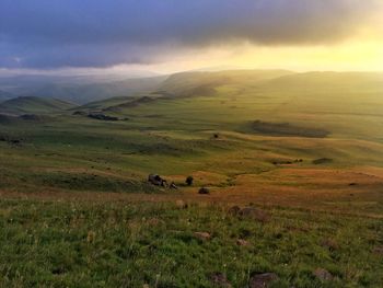 Scenic view of landscape against sky