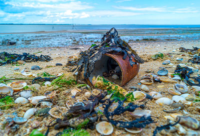 Close up of rusted can weathered on beach sand pollution litter rubbish in the ocean