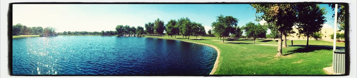 Scenic view of trees by river