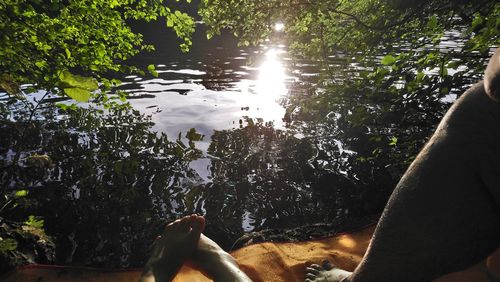 View of ducks swimming in lake