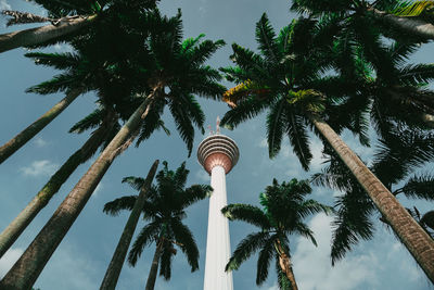 Low angle view of coconut palm tree against sky