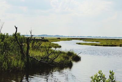 Scenic view of lake against sky