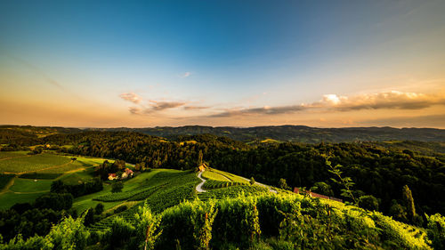 Scenic view of agricultural field against sky during sunset