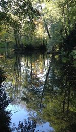 Reflection of trees in lake against sky