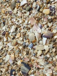 High angle view of stones on beach