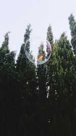 Low angle view of bubbles in park against sky