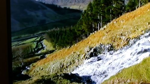 Close-up of snow on tree against sky
