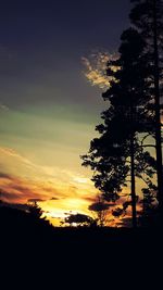 Silhouette trees on field against sky at sunset