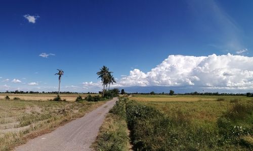 Road amidst field against sky