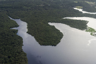 Beautiful aerial view to flooded green amazon rainforest and river