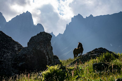 Abudelauri, khevsureti, georgia