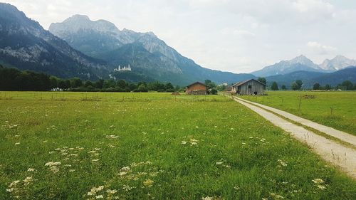 Scenic view of field against mountains