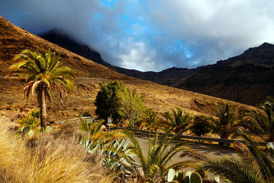 Scenic view of mountains at pilancones natural park