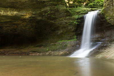 View of waterfall in forest