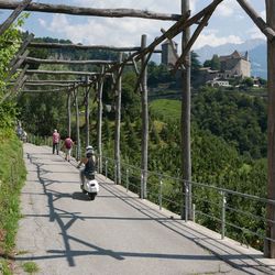 People walking in city