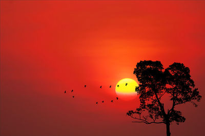 Low angle view of silhouette birds flying against orange sky