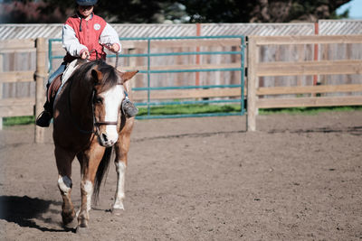 Horse riding horses