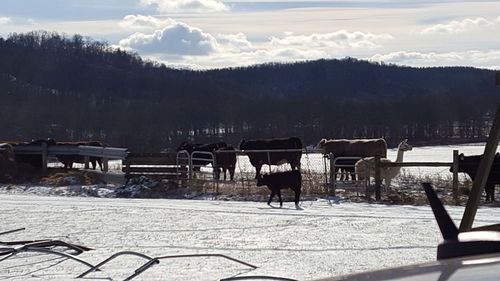 Scenic view of landscape against sky during winter