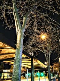 Low angle view of illuminated tree against sky at night