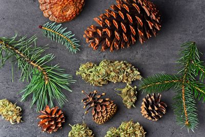 High angle view of pine cone on table