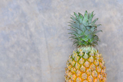 Close-up of fruits on table against wall