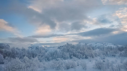 Scenic view of landscape against sky