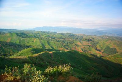 Scenic view of agricultural landscape against sky