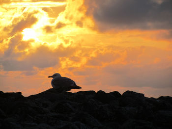 Low angle view of silhouette sitting on rock against sky during sunset