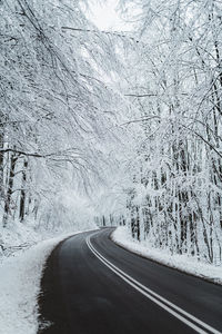 Road by snow covered trees during winter