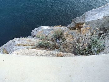 Rock formations on beach