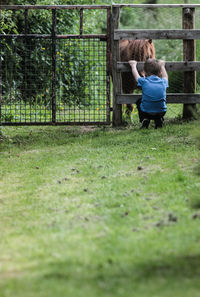 Rear view of boy playing with horse while crouching on field
