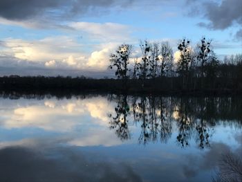 Reflection of trees in lake against sky