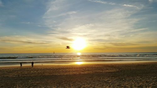 Scenic view of sea at sunset