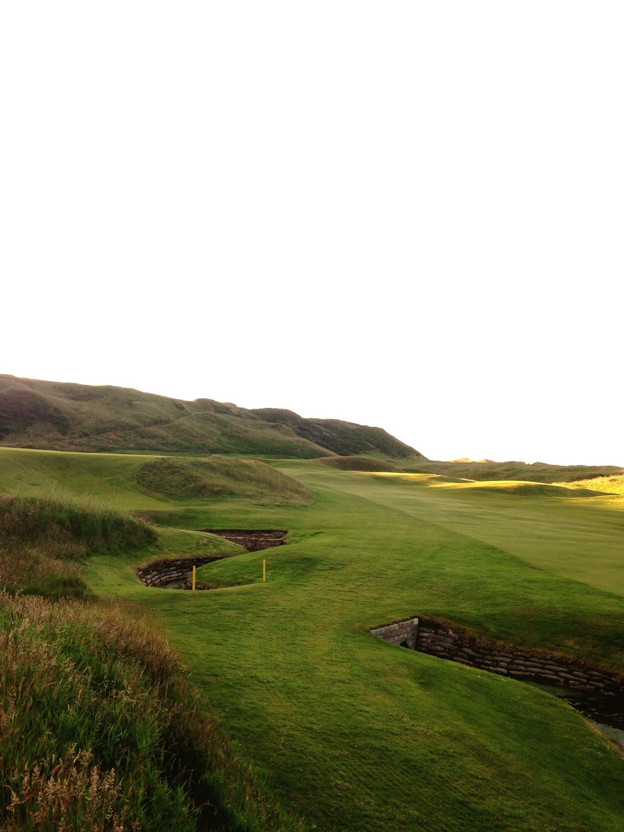 Scottish links golf