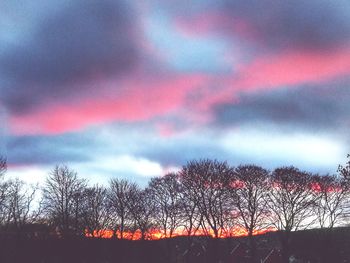 Silhouette trees against dramatic sky during sunset