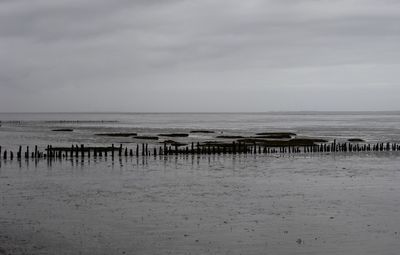 Wooden posts on beach against sky