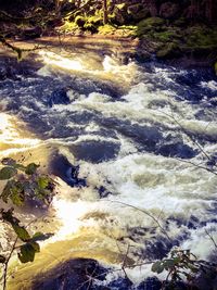 High angle view of rocks in water