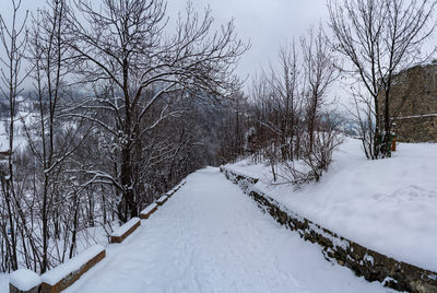 Snow covered road amidst trees during winter