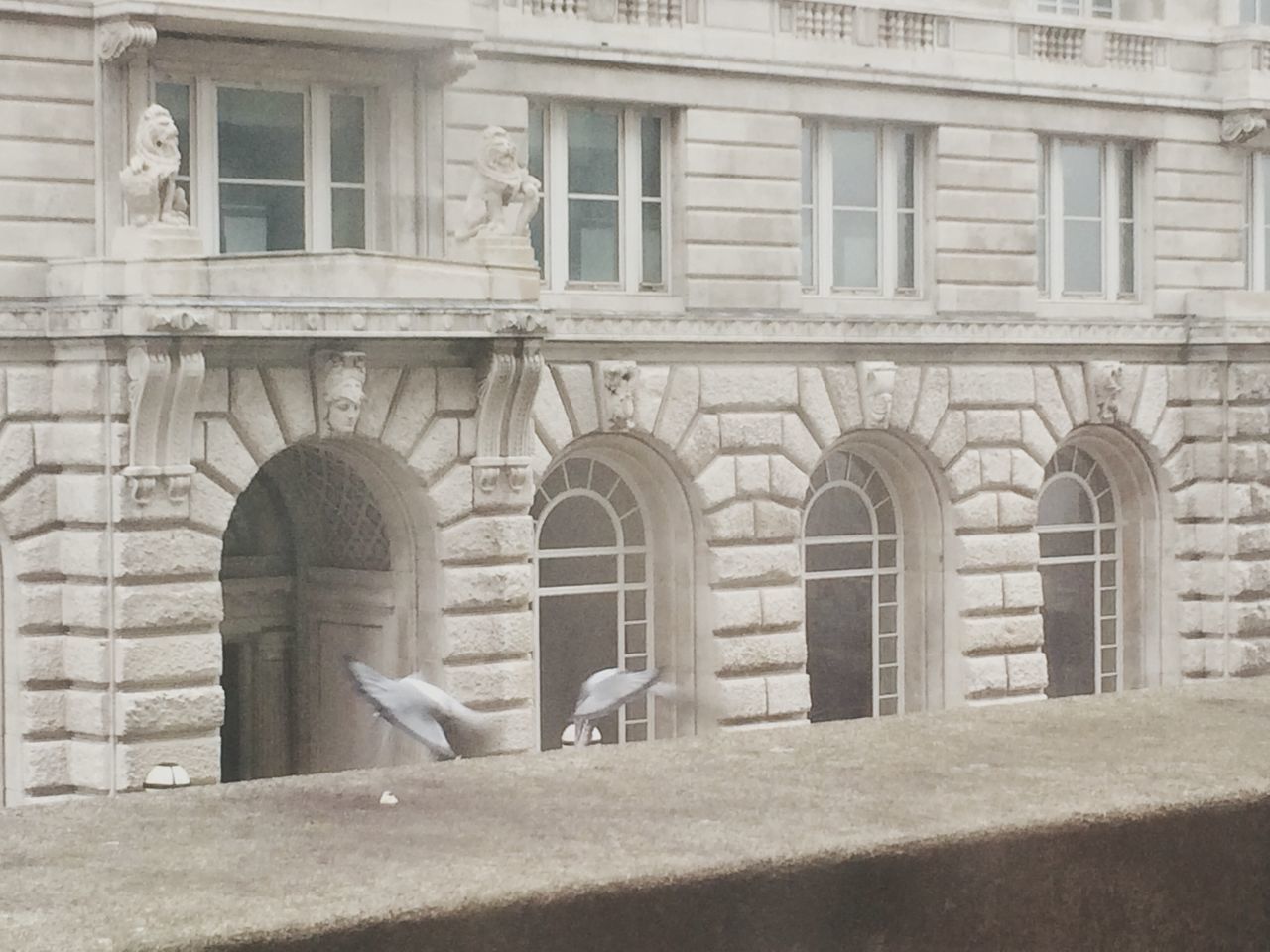 architecture, building exterior, built structure, window, arch, animal themes, facade, building, bird, day, outdoors, wildlife, low angle view, city, entrance, residential building, one animal, no people, animals in the wild, pigeon