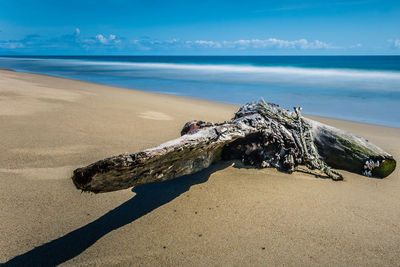 Driftwood at beach against sky