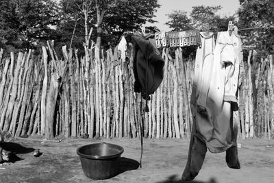 Clothes drying against plants