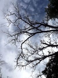 Low angle view of tree against cloudy sky