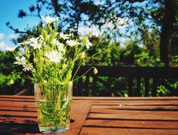 Close-up of flower on table