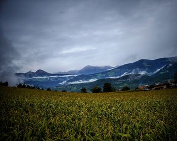 Scenic view of field against sky