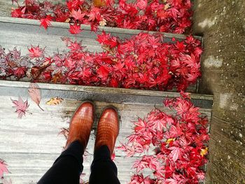 Low section of woman standing by flowers