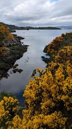 Scenic view of lake against sky during autumn