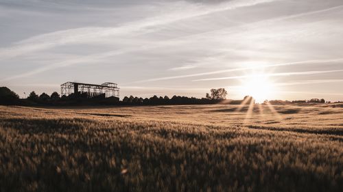 Scenic view of agricultural field against sky during sunset