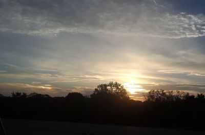 Silhouette trees against sky during sunset