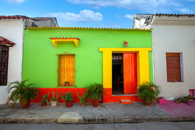 Potted plant against building